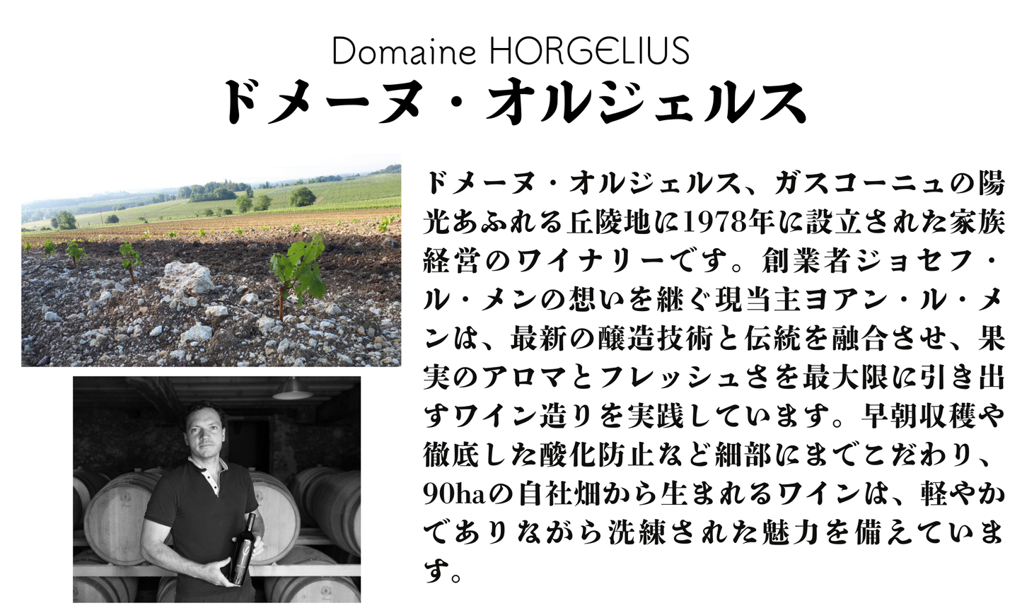 ドメーヌ・オルジェルス 生産者説明
